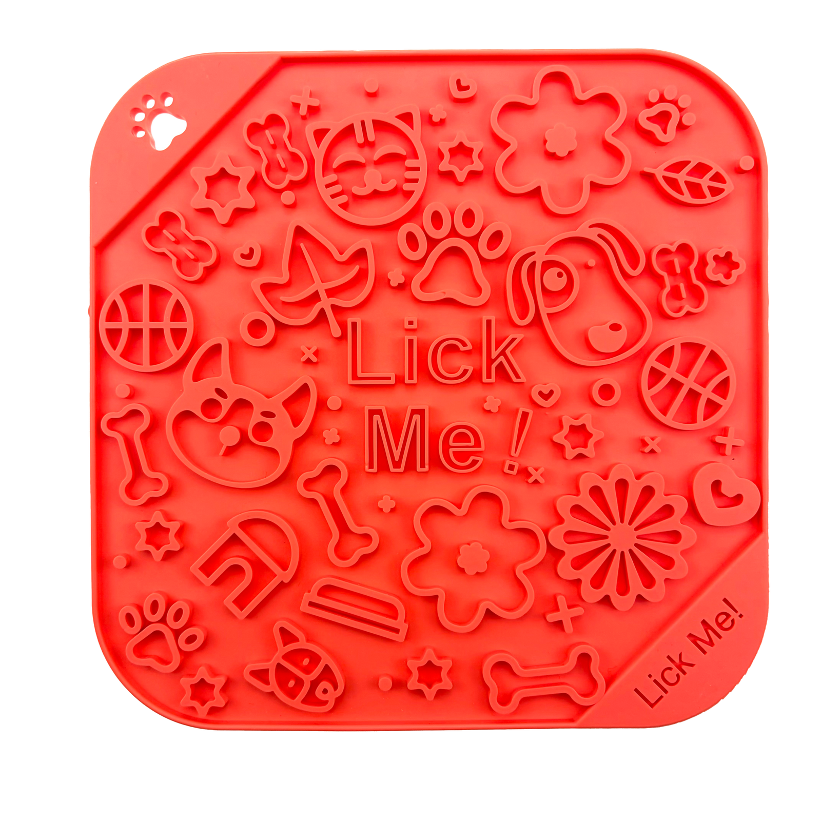 PF-SLOW-FEEDER-004